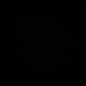 Meet your Posher, Anu